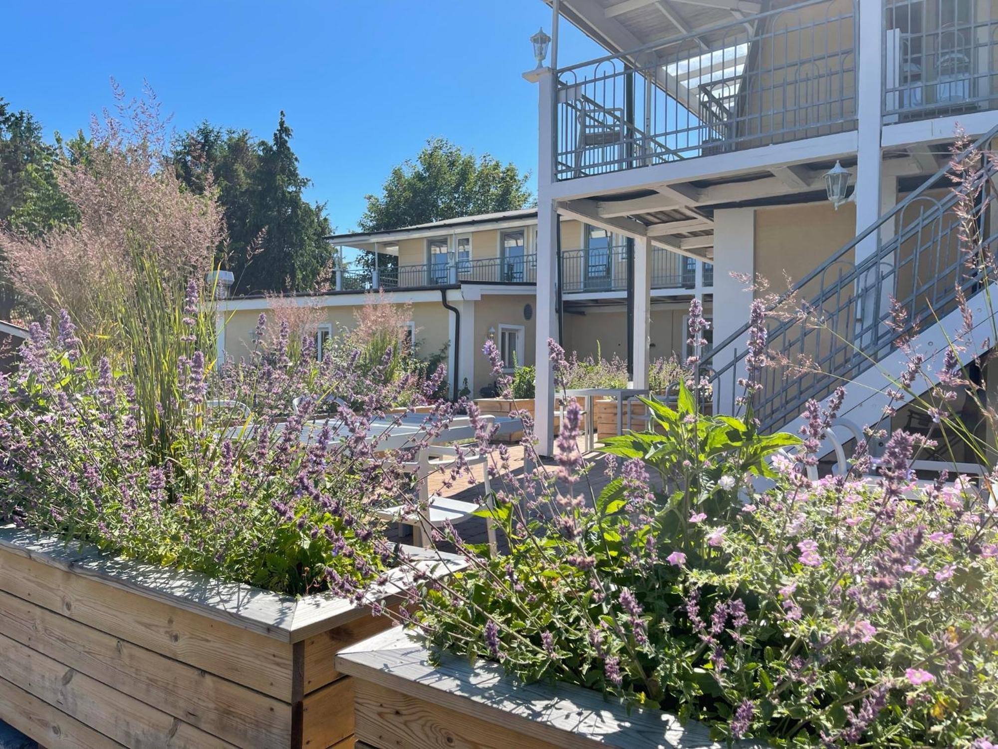 Beddinge Strand Villa Beddingestrand מראה חיצוני תמונה